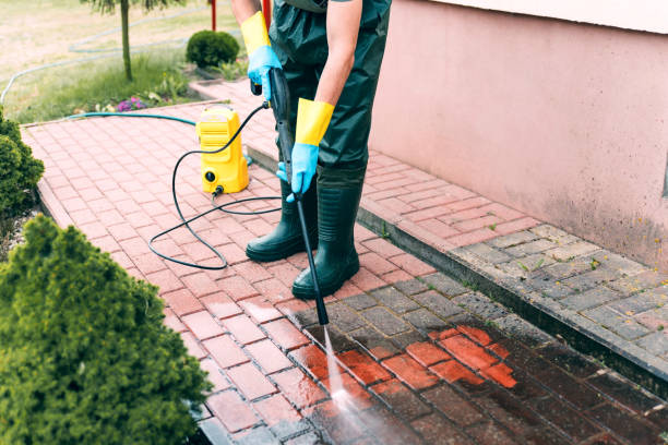 Best Building Exterior Pressure Washing in Lincoln Park, NY