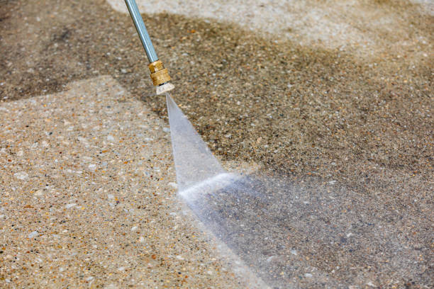 Best Roof Cleaning and Mildew Removal in Lincoln Park, NY